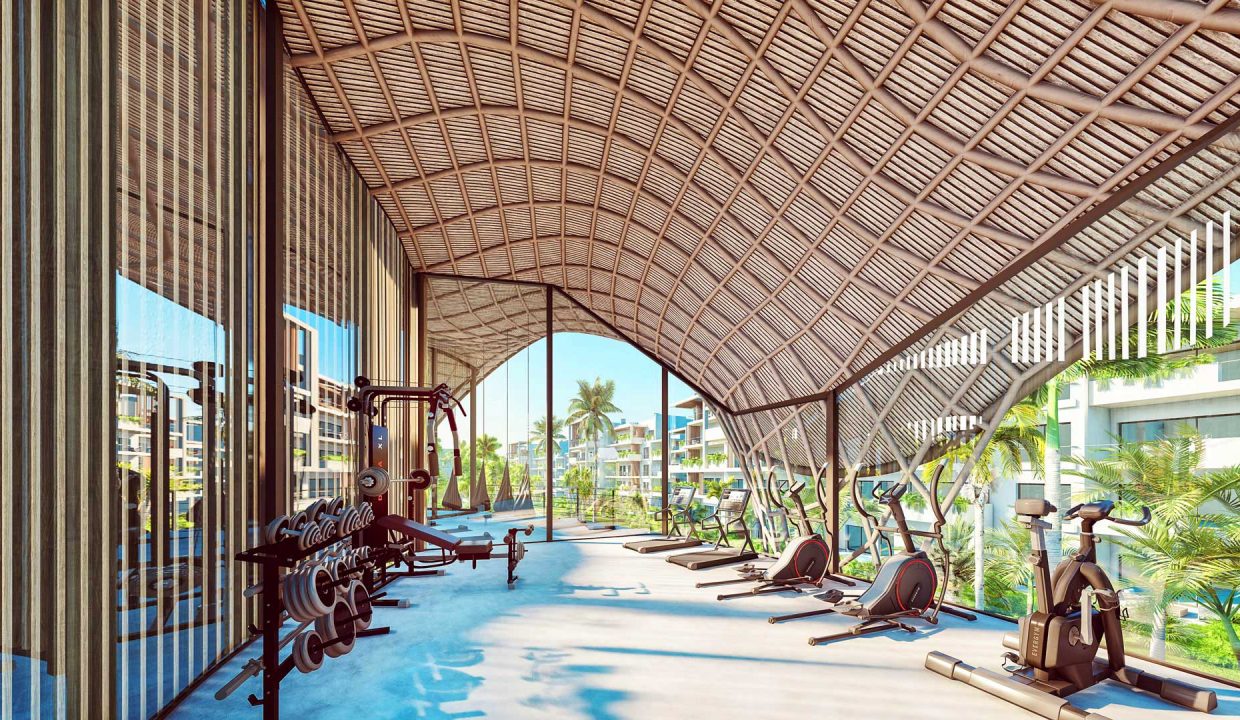 the-seed-punta-cana-18