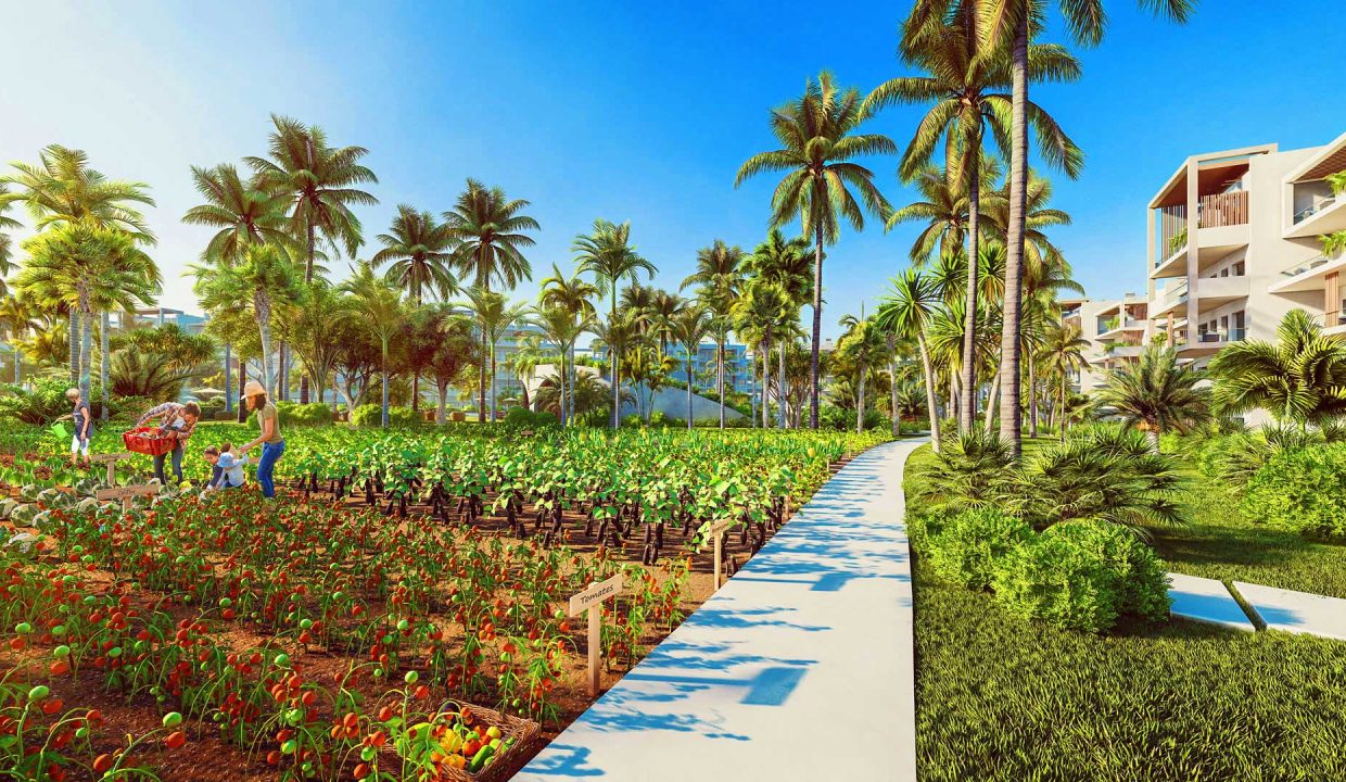 the-seed-punta-cana-22