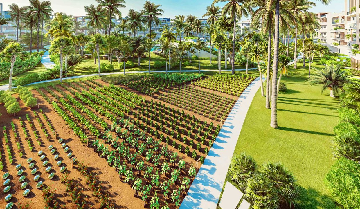 the-seed-punta-cana-23