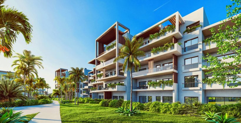 THE SEED – Un nuevo estilo de vida