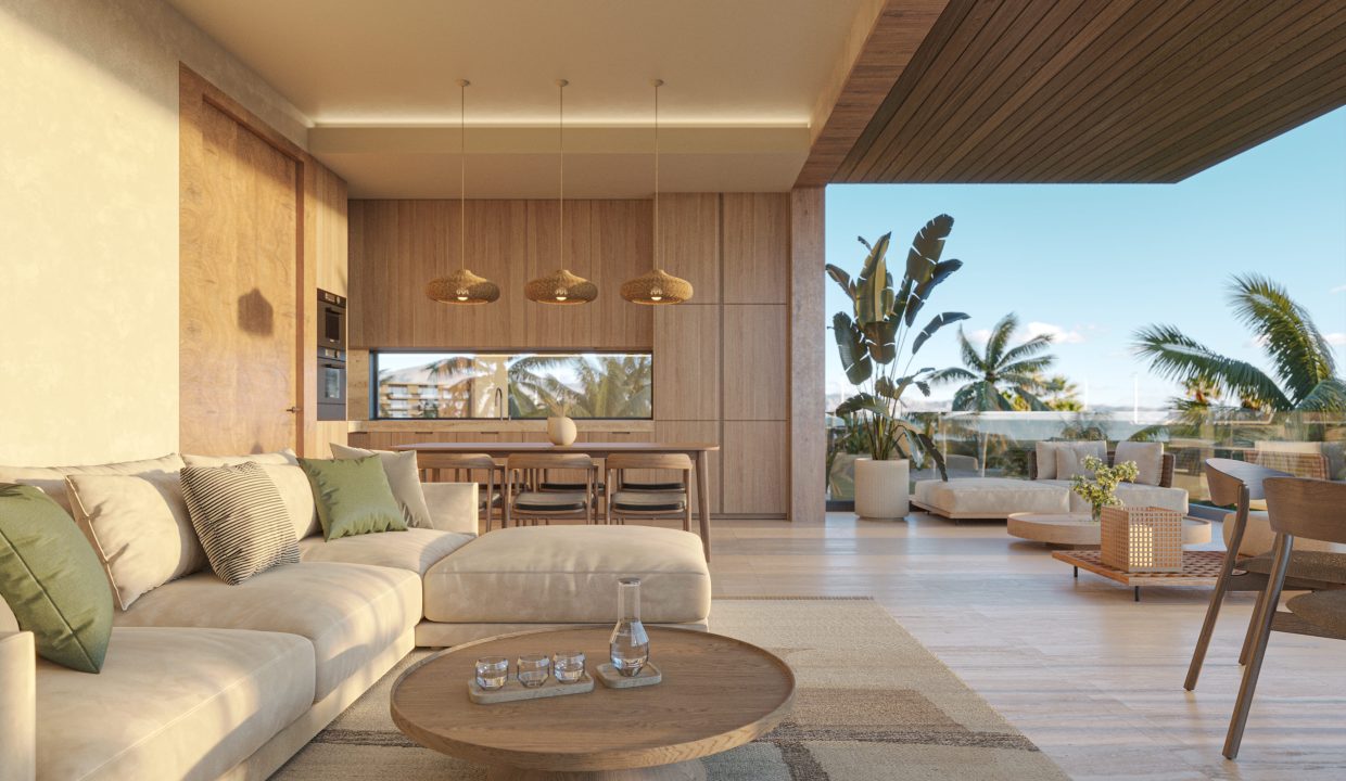 Living Room and Terrace